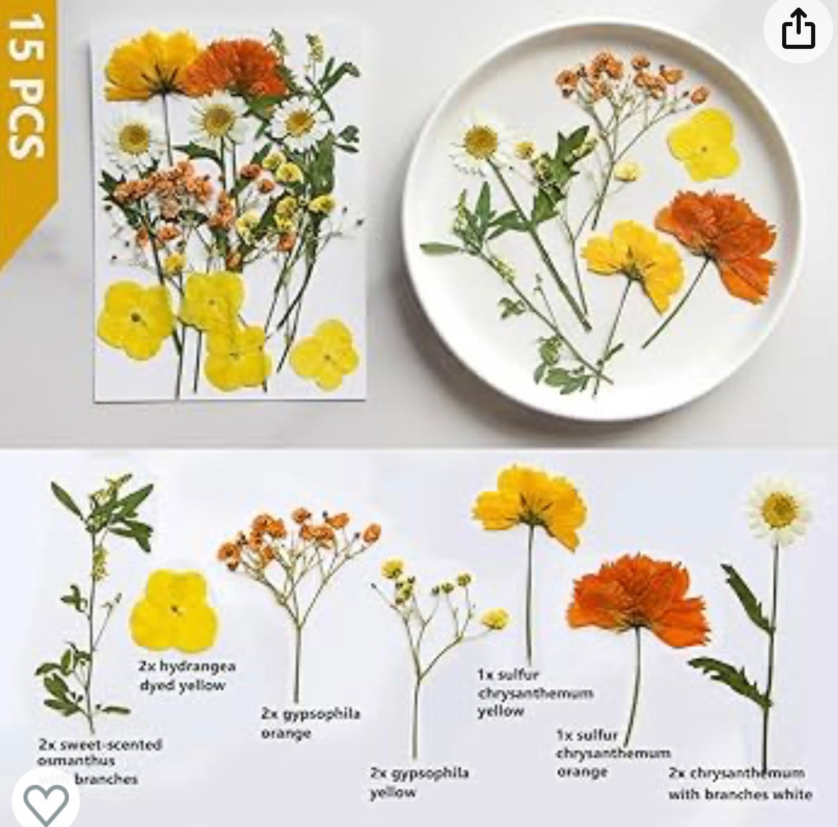 Dried Pressed Flowers, Natural Yellow Fall Pressed Flowers for Craft Bulk, Small Real Flowers Leaves Set for Resin DIY Art Scrapbooking Jewelry Candle Soap Making Supplies (Yellow)