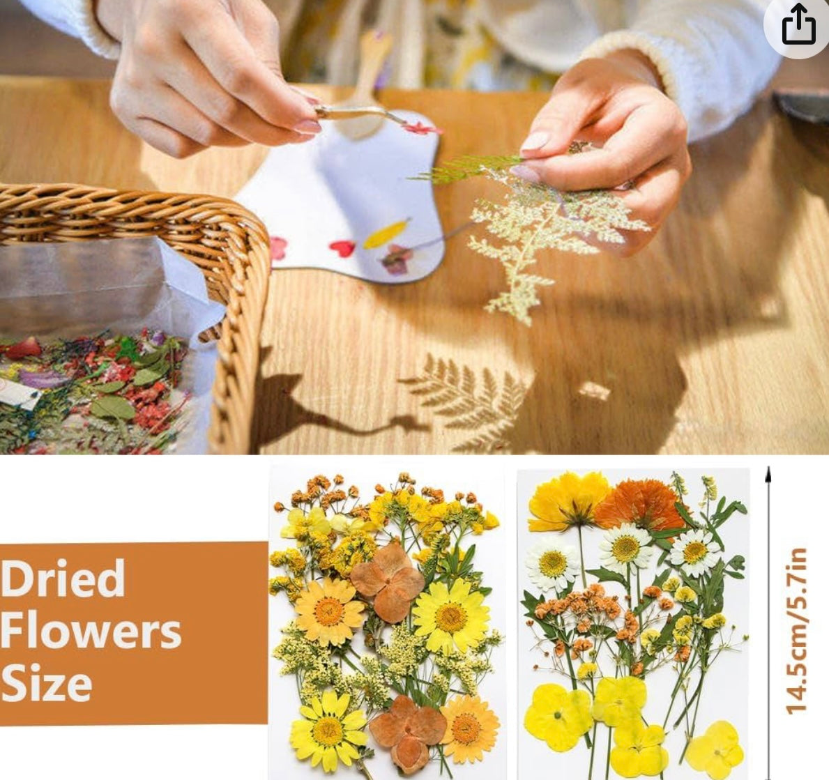Dried Pressed Flowers, Natural Yellow Fall Pressed Flowers for Craft Bulk, Small Real Flowers Leaves Set for Resin DIY Art Scrapbooking Jewelry Candle Soap Making Supplies (Yellow)