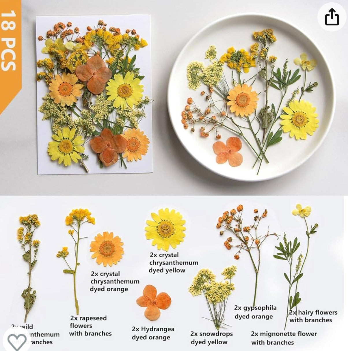 Dried Pressed Flowers, Natural Yellow Fall Pressed Flowers for Craft Bulk, Small Real Flowers Leaves Set for Resin DIY Art Scrapbooking Jewelry Candle Soap Making Supplies (Yellow)