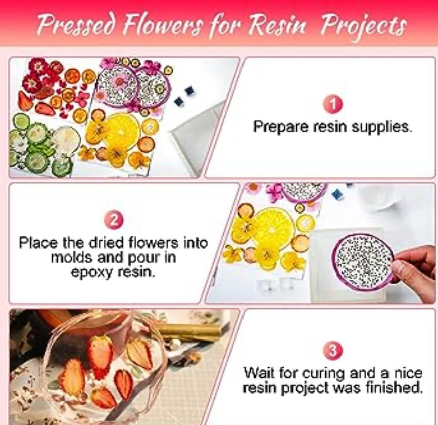 60+ Pieces Dried Pressed Flowers Fruits Set, Real Flowers Fruits for Resin, Natural Fruits Flowers Kit for Crapbooking DIY Art Crafts, Epoxy Resin Jewelry Molds, Candle, Soap Making, Nails DéCor