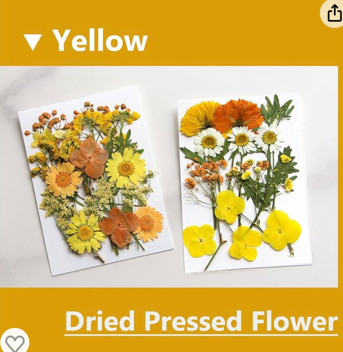 Dried Pressed Flowers, Natural Yellow Fall Pressed Flowers for Craft Bulk, Small Real Flowers Leaves Set for Resin DIY Art Scrapbooking Jewelry Candle Soap Making Supplies (Yellow)