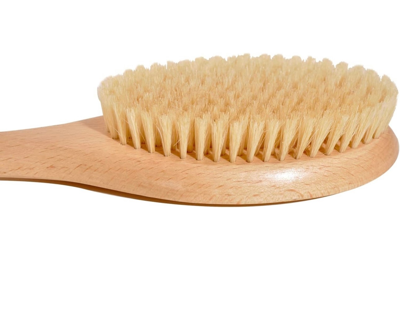 19.7inch Upgrade Long Handle Bath Brush Wood Shower Brush Natural Bristles for Wet or Dry Brushing, Back Scrubber for Gentle Exfoliating and Cleaning