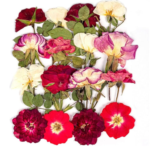 16 Pcs Dried Pressed Flowers, Nauture Pressed Rose, Multi Color Dry Rose, Real Pressed Flora for DIY Jewelry Candle Soap Vase Making Nail Card Scrapbook Art Craft Floral Decors