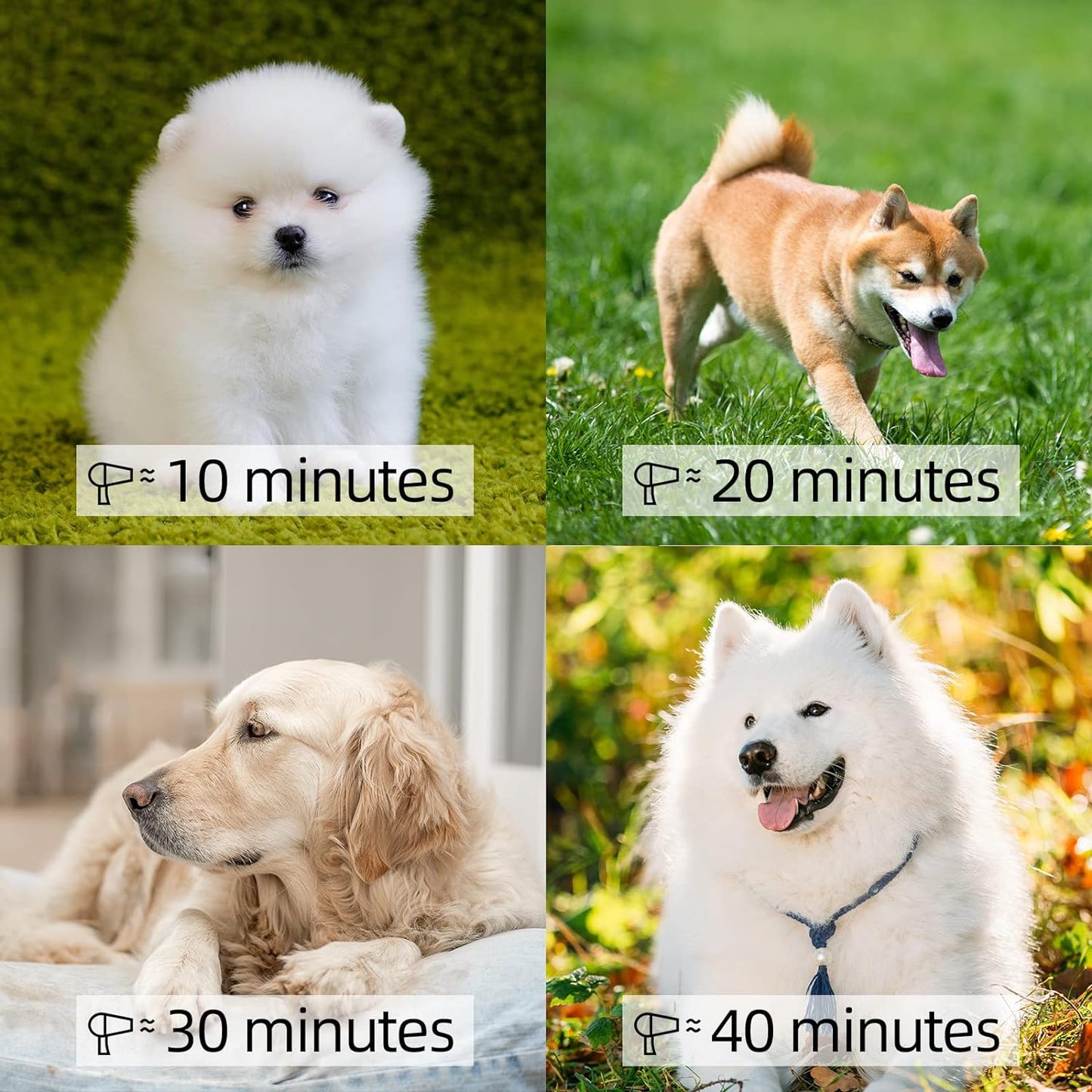 Dog Dryer High Velocity Professional Dog Pet Grooming Hair Drying Force Dryer Blower 4.5HP (PBD-701H)