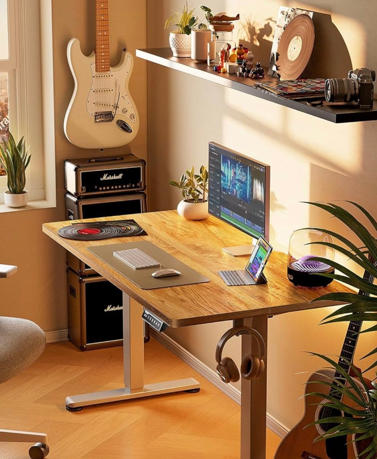 63x24inches Electric Standing Desk with Splice Board,Ergonomic Height Adjustabley. Oak Color