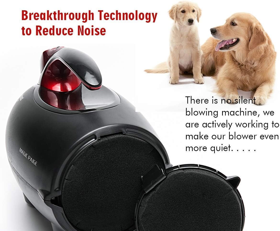 Dog Dryer High Velocity Professional Dog Pet Grooming Hair Drying Force Dryer Blower 4.5HP (PBD-701H)