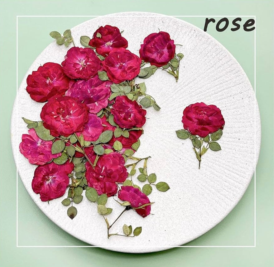16 Pcs Dried Pressed Flowers, Nauture Pressed Rose, Multi Color Dry Rose, Real Pressed Flora for DIY Jewelry Candle Soap Vase Making Nail Card Scrapbook Art Craft Floral Decors