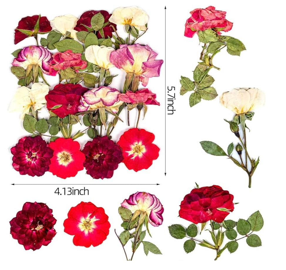 16 Pcs Dried Pressed Flowers, Nauture Pressed Rose, Multi Color Dry Rose, Real Pressed Flora for DIY Jewelry Candle Soap Vase Making Nail Card Scrapbook Art Craft Floral Decors