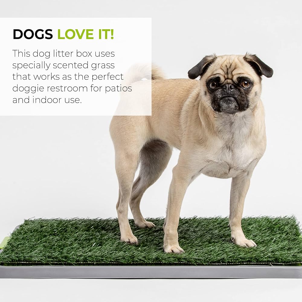 Potty Patch Dog Grass Pad Fake Grass for Dogs to Pee on, Indoor Dog Potty for Dogs Under 15lbs, Grass Pee Pads for Dogs with Tray, 17x27”